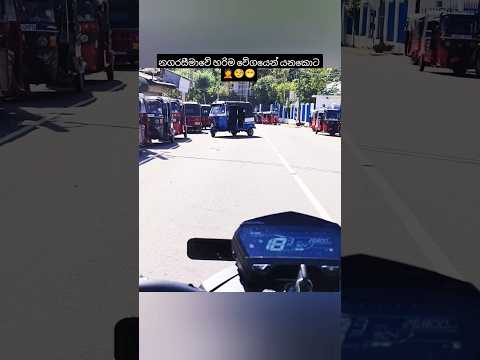 Tuktuk දැක්කම නිකන්ම Slow වෙනවා 🧐🫣 #shorts #reels #viral #trending #tuktuk #driving #roadsafety