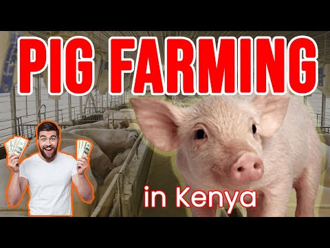 , title : 'Success in Swine: Crafting a Profitable Pig Farming Business Plan in Kenya!'