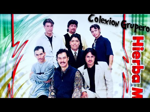 GRUPO LOS KAMIKAZES  ya me canse