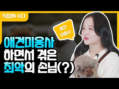 Jobtube 이미지