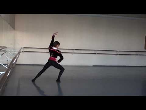 Matei Holeleu Don Quixote sept 2016