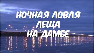 Прикормка в мае на дамбе фин. залив