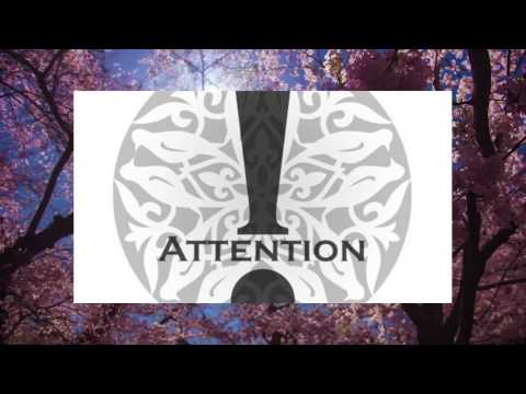 S.Mulet - Attention (Original Mix)