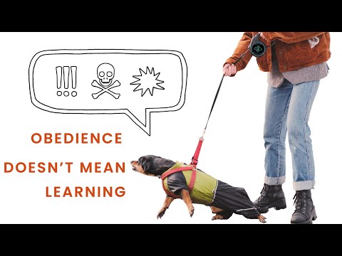 Canine Evolutions video.