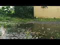 Rain Drops WhatsApp Status Aesthetic Video