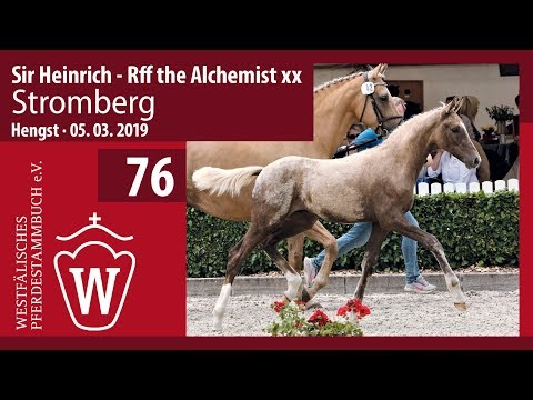 76  Stromberg Hengst v. Sir Heinrich - Rff The Alchemist xx