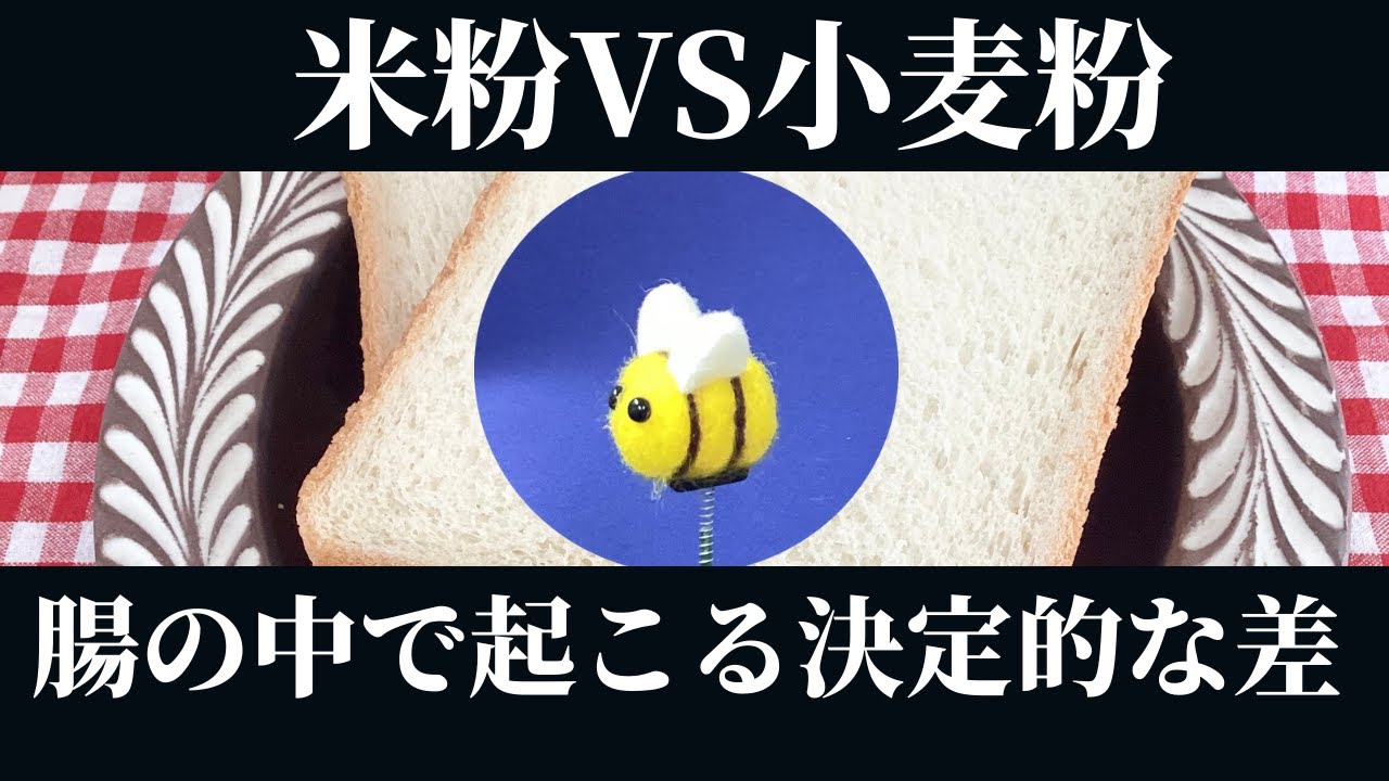 衝撃‼️これが不調の原因だった⭐️目で見るグルテン⭐️パン・ピザ・パスタはもう卒業