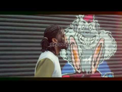 ProNeverFold - Broccoli