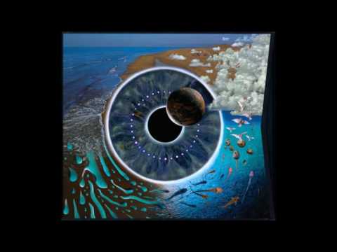 Pink Floyd - Shine on you crazy diamond (instrumental mix)