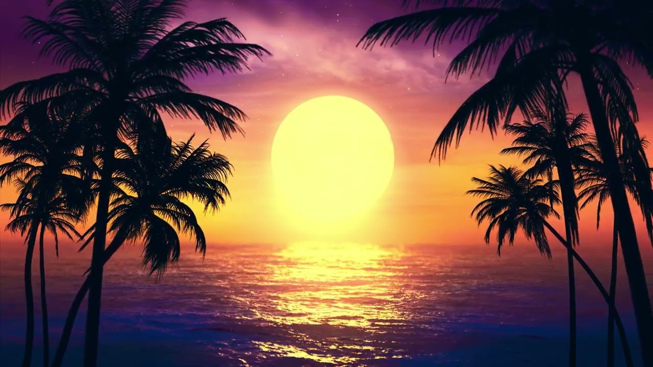 Vintage Palm Tree On The Sunset Sea Background 4K Loop Video | No Copyright Nature Background Video