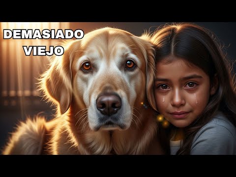 Las 15 Mejores Secuelas de la HISTORIA del CINE