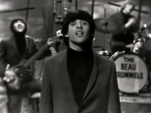 NEW * Laugh Laugh - The Beau Brummels {Stereo} 1964