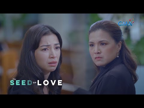 The Seed of Love: The loving wife's broken reputation (Episode 38)