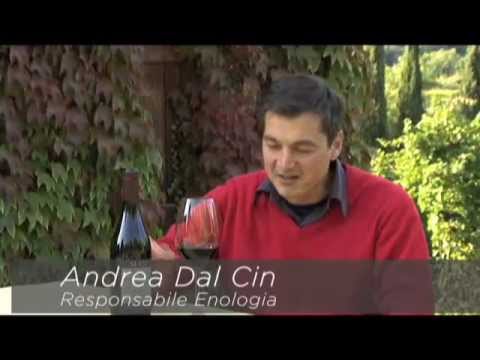 Masi Mazzano Amarone Classico DOC