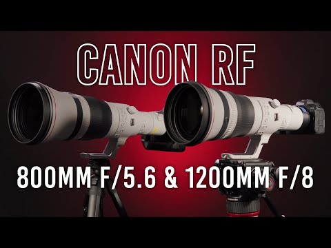 Canon RF 800mm f/5.6 L IS USM Lens video
