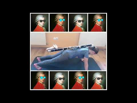 The Clartists - COVIDiaries ( Der Vogelfänger - W. A. Mozart)