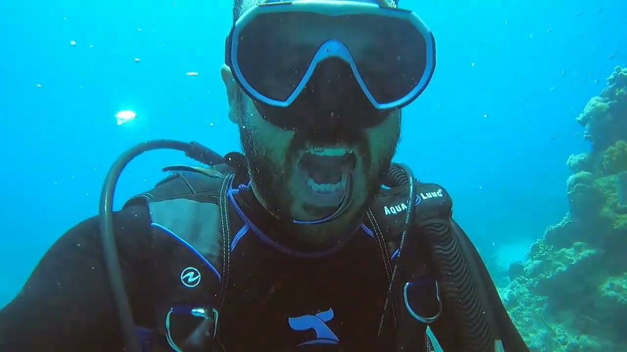 Cleaning teeth fish