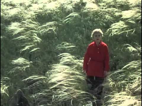 Трейлер