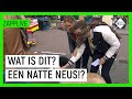 RUTGER OP PAD MET NEGEN HONDEN | De Nachtmerrie | NPO Zapp
