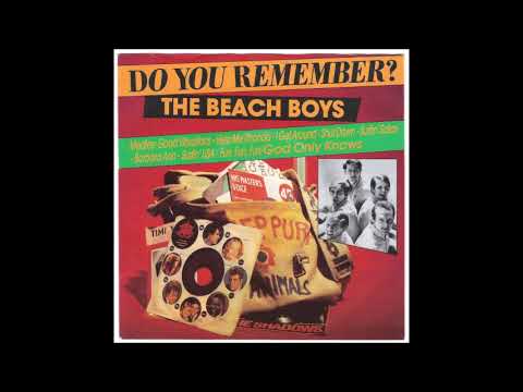 The Beach Boys   Do You Remember  1966