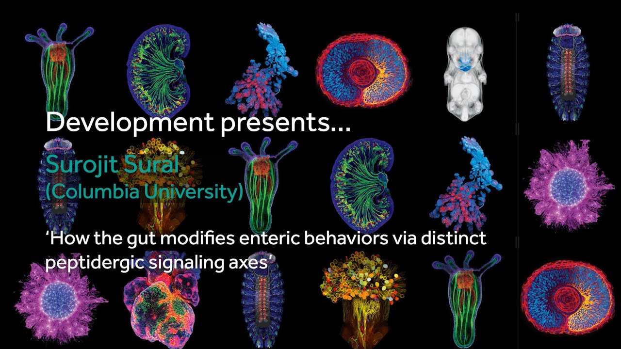 Development presents... Surojit Sural