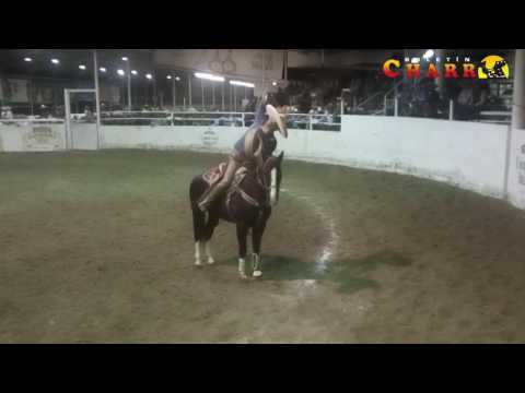 3 de 3 Manganas a Caballo del Famoso "Venado" Parra