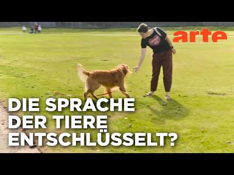 Video Thumbnail: Kommunikation mit Tieren | The Future with Hannah Fry (2/6) | ARTE