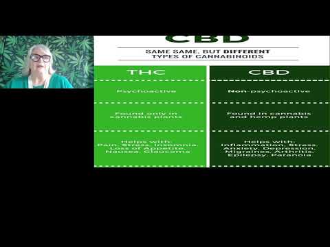 The Efficacy of High CBD Low THC for Better Outcomes in Medical Marijuana