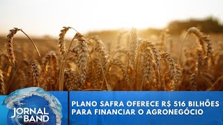 Plano Safra 2025/26 oferece R$ 516 bilhões para financiar o agronegócio