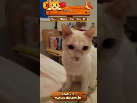Vídeo de Branco