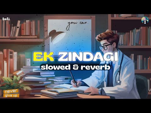 Ek Zindagi [Slowed + Reverb] | Angrezi Medium | Sabki Rok Hai Tok Hai