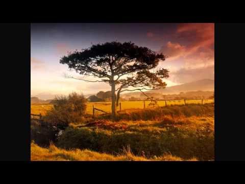 Melodic Echoes 00 - Trance Classics