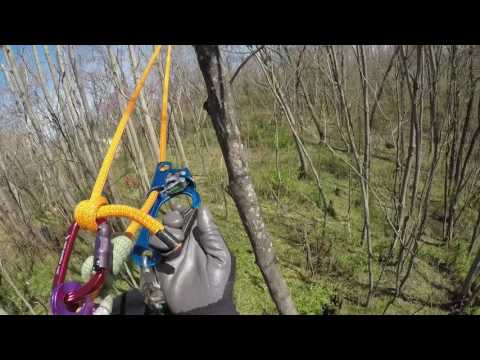 Tree climb & roundtrip traverse