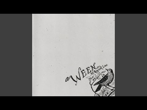 Video thumbnail for The Stallion, Pt. 1 - All Request Live