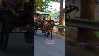 Download lagu sore sore naik delman istimewa #shorts #shortvideo #fun #delman #viral mp3 Download lagu sore sore naik delman istimewa #shorts #shortvideo #fun #delman #viral mp3