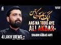 Nohay 2023 Aas Na Todo Aye Ali Akbar Shabih Abbas Arfi Nohay 2023 Noha Shahadat Ali Akbar As