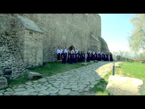 Tin Harmony - Nu te indoi ci crede