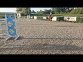 Jument 3 ans par Diamant de Bellignies 