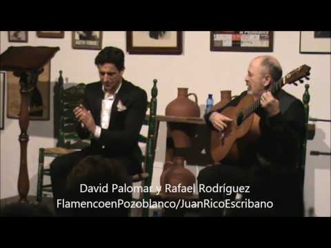 DAVID PALOMAR Y RAFAEL RODRIGUEZ / BULERIAS