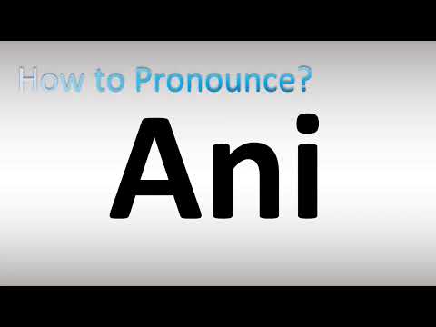 How to Pronounce ANI