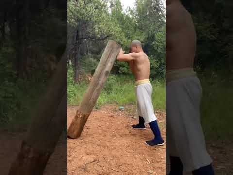 REAL Shaolin Kung Fu (training) @ShaolinKungfuYanhao