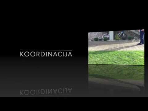 Koordinacija 2