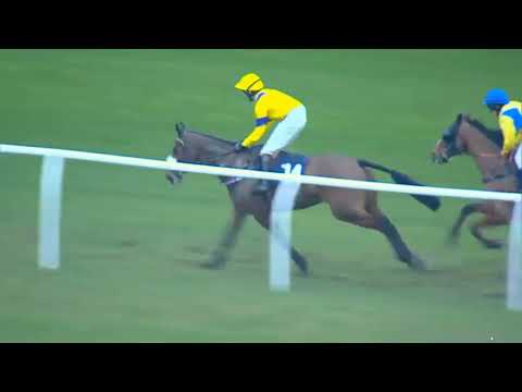 “CLASS PERFORMANCE! Fat Faced Columbo Wins in Style |  Race 6 Chepstow Race Replay”