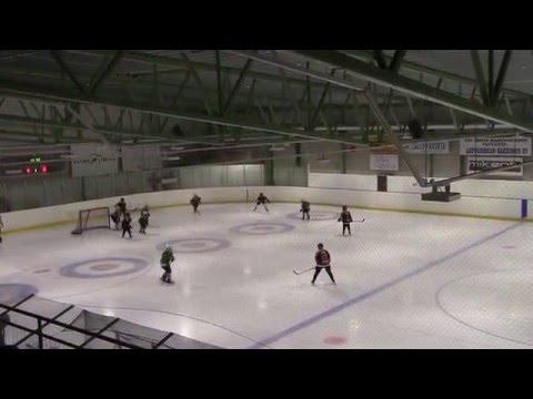 Leki75 05 Lions   Kookoo Black 210216