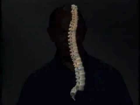 Anatomia Coluna Vertebral 1º