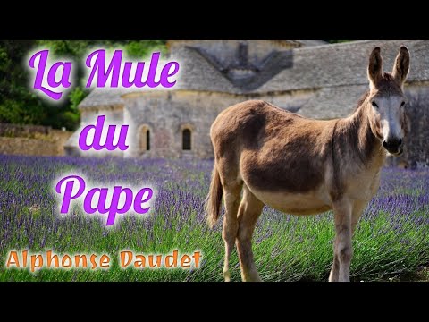 Naif - La'mule
