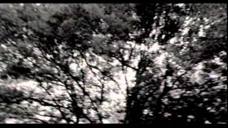 Ozark Henry - Indian Summer