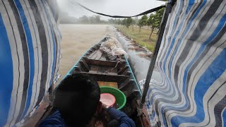 The First Time Welcoming a Terrible Heavy Rain, My Family Was Stuck in the Fields, Giant Catfish ...