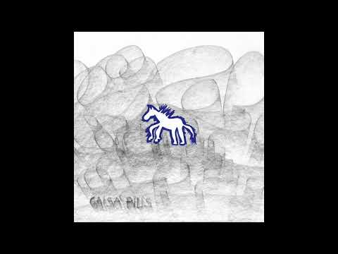 Satikšanās - Juris Vizbulis, Ilze Ķuzule-Skrastiņa