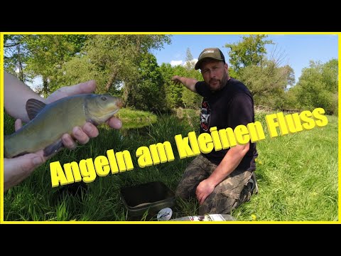 All-round fishing on a small river 🎣Looking for the perfect bite🎣